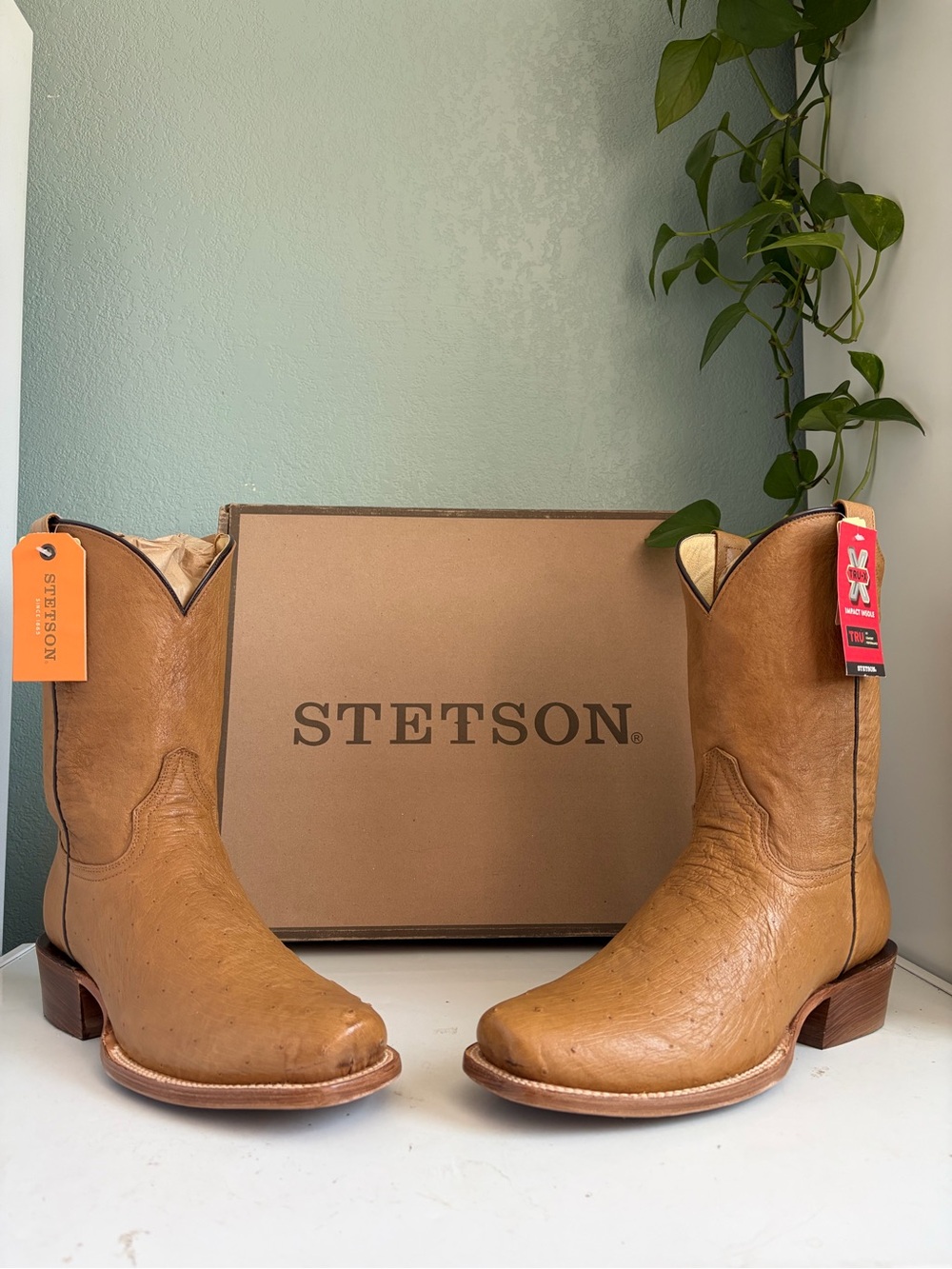 Stetson Exotic Ostrich Cowboy Boots 11 D Cutter Toe